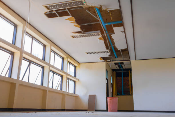 Best 24-hour water damage restoration  in Martin, SD