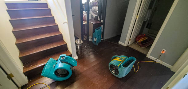 Best Water damage restoration near me  in Martin, SD