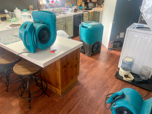 Best Ceiling water damage repair  in Martin, SD