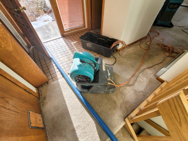 Best Flood damage cleanup  in Martin, SD