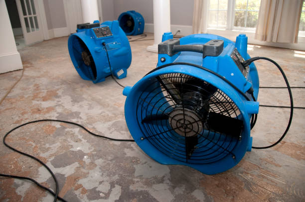 Best Mold removal after water damage  in Martin, SD
