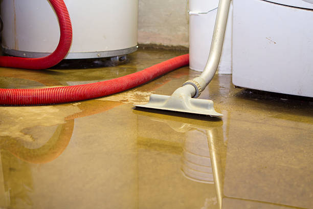 Best Basement water damage restoration  in Martin, SD