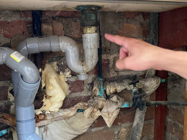 Best Water damage contractors near me  in Martin, SD