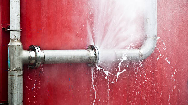 Best Carpet water damage restoration  in Martin, SD